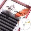 Maria Sasha Y Curvatura em L - Mix Fox Eyes