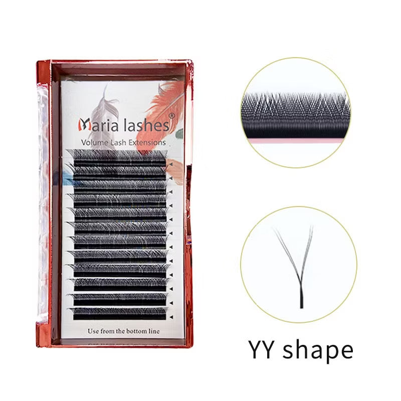 Maria Sasha Y Curvatura M - Fox Eyes Mix